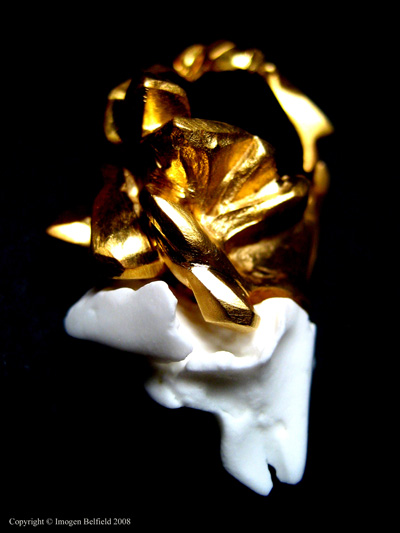 Imogen Belfield, gold with porcelain, rings