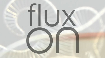 Flux studios offers classes and courses in jewellery making in London.